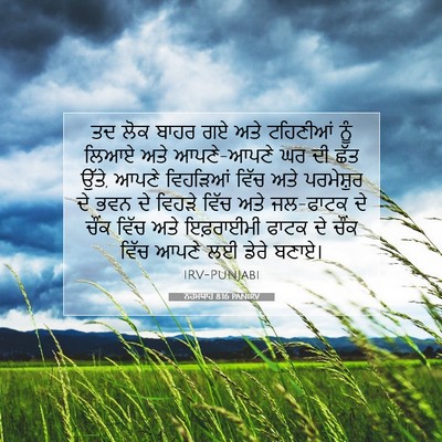 Picture 07 - ਨਹਮਯਾਹ 8:16 PANIRV - ਤਦ ਲੋਕ ਬਾਹਰ ਗਏ ਅਤੇ - Bible Verse Picture