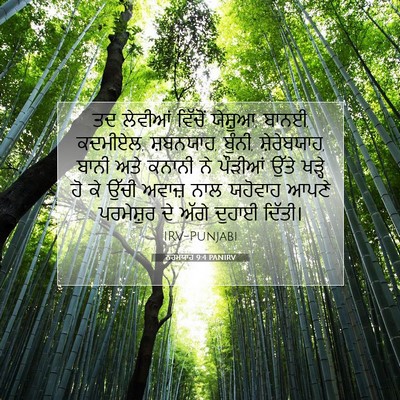 Picture 07 - ਨਹਮਯਾਹ 9:4 PANIRV - ਤਦ ਲੇਵੀਆਂ ਵਿੱਚੋਂ - Bible Verse Picture