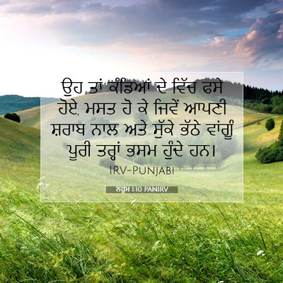 Picture 07 - ਨਹੂਮ 1:10 PANIRV - ਉਹ ਤਾਂ ਕੰਡਿਆਂ ਦੇ - Bible Verse Picture
