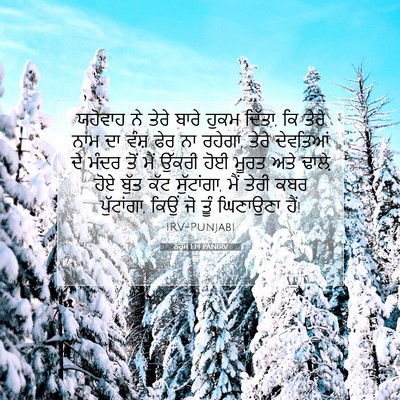Picture 07 - ਨਹੂਮ 1:14 PANIRV - ਯਹੋਵਾਹ ਨੇ ਤੇਰੇ - Bible Verse Picture