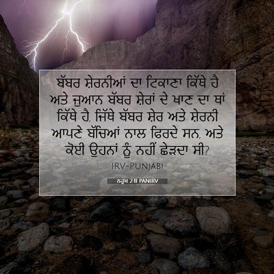 Picture 07 - ਨਹੂਮ 2:11 PANIRV - ਬੱਬਰ ਸ਼ੇਰਨੀਆਂ ਦਾ - Bible Verse Picture