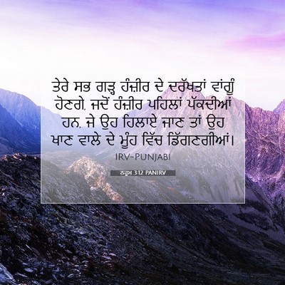 Picture 07 - ਨਹੂਮ 3:12 PANIRV - ਤੇਰੇ ਸਭ ਗੜ੍ਹ - Bible Verse Picture