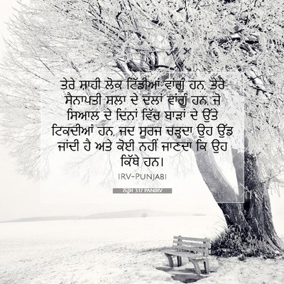 Picture 07 - ਨਹੂਮ 3:17 PANIRV - ਤੇਰੇ ਸ਼ਾਹੀ ਲੋਕ - Bible Verse Picture