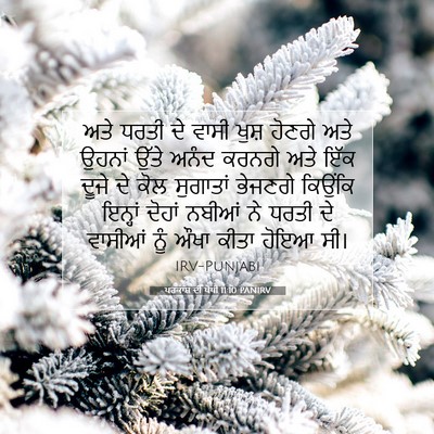 Picture 07 - ਪਰਕਾਸ਼ ਦੀ ਪੋਥੀ 11:10 PANIRV - ਅਤੇ ਧਰਤੀ ਦੇ ਵਾਸੀ - Bible Verse Picture