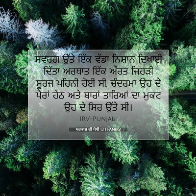 Picture 07 - ਪਰਕਾਸ਼ ਦੀ ਪੋਥੀ 12:1 PANIRV - ਸਵਰਗ ਉੱਤੇ ਇੱਕ ਵੱਡਾ - Bible Verse Picture