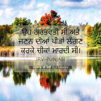 Picture 07 - ਪਰਕਾਸ਼ ਦੀ ਪੋਥੀ 12:2 PANIRV - ਉਹ ਗਰਭਵਤੀ ਸੀ ਅਤੇ - Bible Verse Picture