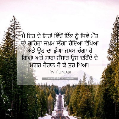 Picture 07 - ਪਰਕਾਸ਼ ਦੀ ਪੋਥੀ 13:3 PANIRV - ਮੈਂ ਇਹ ਦੇ ਸਿਰਾਂ - Bible Verse Picture