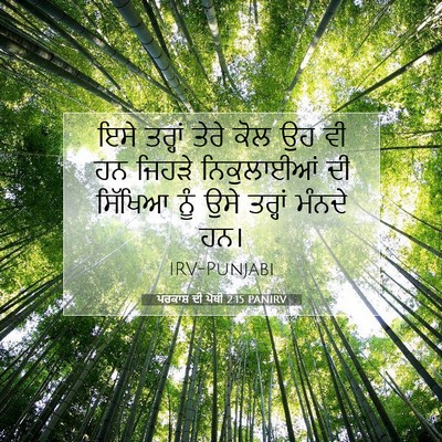 Picture 07 - ਪਰਕਾਸ਼ ਦੀ ਪੋਥੀ 2:15 PANIRV - ਇਸੇ ਤਰ੍ਹਾਂ ਤੇਰੇ - Bible Verse Picture