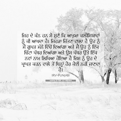 Picture 07 - ਪਰਕਾਸ਼ ਦੀ ਪੋਥੀ 2:17 PANIRV - ਜਿਹ ਦੇ ਕੰਨ ਹਨ ਸੋ - Bible Verse Picture