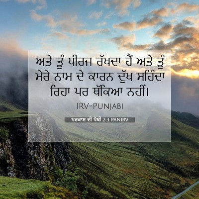 Picture 07 - ਪਰਕਾਸ਼ ਦੀ ਪੋਥੀ 2:3 PANIRV - ਅਤੇ ਤੂੰ ਧੀਰਜ ਰੱਖਦਾ - Bible Verse Picture