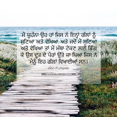 Picture 07 - ਪਰਕਾਸ਼ ਦੀ ਪੋਥੀ 22:8 PANIRV - ਮੈਂ ਯੂਹੰਨਾ ਉਹ ਹਾਂ - Bible Verse Picture