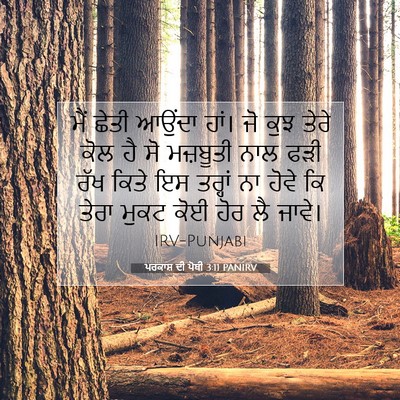 Picture 07 - ਪਰਕਾਸ਼ ਦੀ ਪੋਥੀ 3:11 PANIRV - ਮੈਂ ਛੇਤੀ ਆਉਂਦਾ - Bible Verse Picture