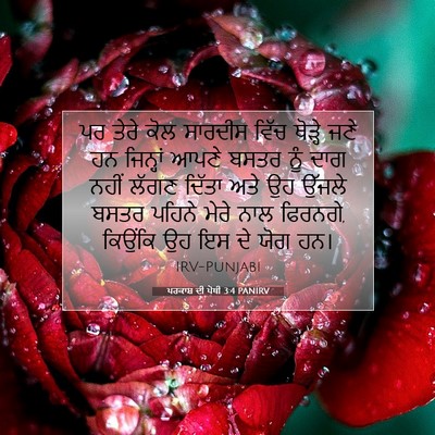 Picture 07 - ਪਰਕਾਸ਼ ਦੀ ਪੋਥੀ 3:4 PANIRV - ਪਰ ਤੇਰੇ ਕੋਲ ਸਾਰਦੀਸ - Bible Verse Picture