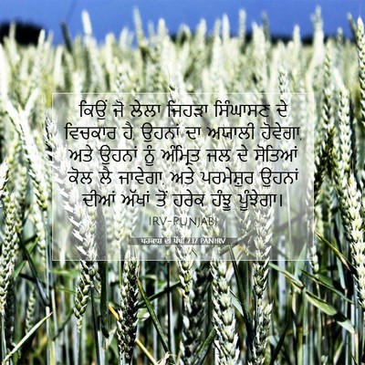 Picture 07 - ਪਰਕਾਸ਼ ਦੀ ਪੋਥੀ 7:17 PANIRV - ਕਿਉਂ ਜੋ ਲੇਲਾ ਜਿਹੜਾ - Bible Verse Picture