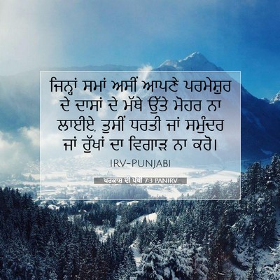 Picture 07 - ਪਰਕਾਸ਼ ਦੀ ਪੋਥੀ 7:3 PANIRV - ਜਿਨ੍ਹਾਂ ਸਮਾਂ ਅਸੀਂ - Bible Verse Picture