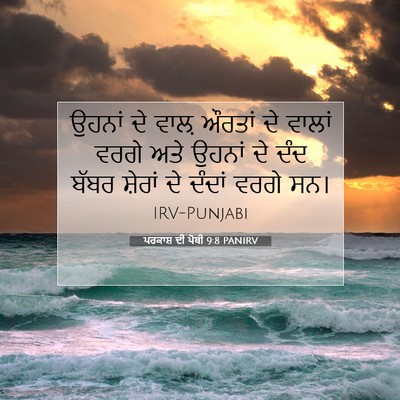 Picture 07 - ਪਰਕਾਸ਼ ਦੀ ਪੋਥੀ 9:8 PANIRV - ਉਹਨਾਂ ਦੇ ਵਾਲ਼ - Bible Verse Picture