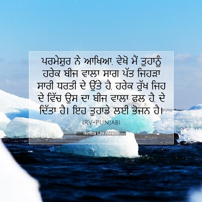 Picture 07 - ਪੈਦਾਇਸ਼ 1:29 PANIRV - ਪਰਮੇਸ਼ੁਰ ਨੇ ਆਖਿਆ, - Bible Verse Picture