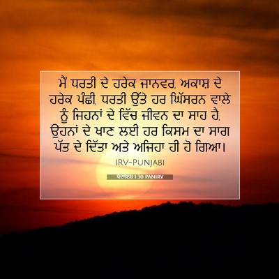 Picture 07 - ਪੈਦਾਇਸ਼ 1:30 PANIRV - ਮੈਂ ਧਰਤੀ ਦੇ ਹਰੇਕ - Bible Verse Picture