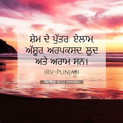 Picture 07 - ਪੈਦਾਇਸ਼ 10:22 PANIRV - ਸ਼ੇਮ ਦੇ ਪੁੱਤਰ: - Bible Verse Picture