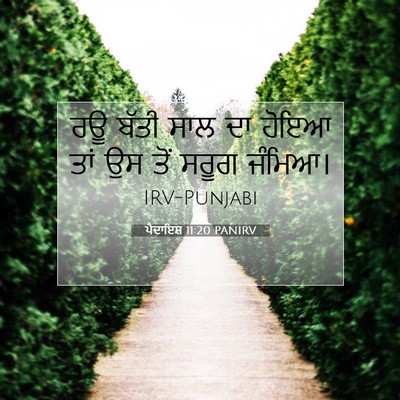 Picture 07 - ਪੈਦਾਇਸ਼ 11:20 PANIRV - ਰਊ ਬੱਤੀ ਸਾਲ ਦਾ ਹੋਇਆ - Bible Verse Picture