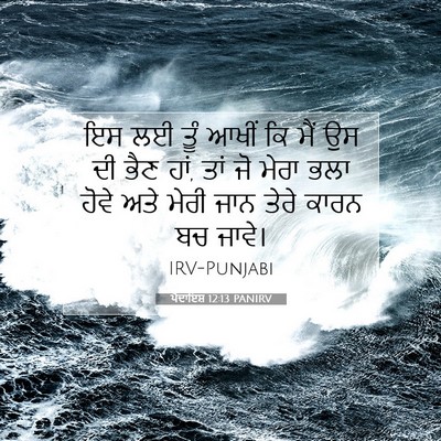 Picture 07 - ਪੈਦਾਇਸ਼ 12:13 PANIRV - ਇਸ ਲਈ ਤੂੰ ਆਖੀਂ ਕਿ - Bible Verse Picture