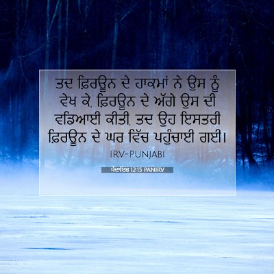 Picture 07 - ਪੈਦਾਇਸ਼ 12:15 PANIRV - ਤਦ ਫ਼ਿਰਊਨ ਦੇ - Bible Verse Picture