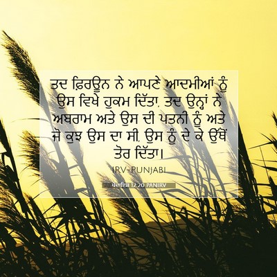 Picture 07 - ਪੈਦਾਇਸ਼ 12:20 PANIRV - ਤਦ ਫ਼ਿਰਊਨ ਨੇ ਆਪਣੇ - Bible Verse Picture