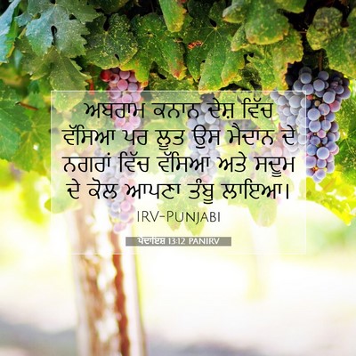 Picture 07 - ਪੈਦਾਇਸ਼ 13:12 PANIRV - ਅਬਰਾਮ ਕਨਾਨ ਦੇਸ਼ - Bible Verse Picture