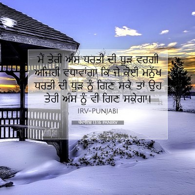 Picture 07 - ਪੈਦਾਇਸ਼ 13:16 PANIRV - ਮੈਂ ਤੇਰੀ ਅੰਸ ਧਰਤੀ - Bible Verse Picture