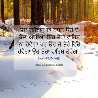 Picture 07 - ਪੈਦਾਇਸ਼ 15:4 PANIRV - ਤਦ ਯਹੋਵਾਹ ਦਾ ਬਚਨ ਉਹ - Bible Verse Picture