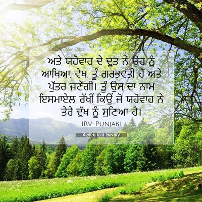 Picture 07 - ਪੈਦਾਇਸ਼ 16:11 PANIRV - ਅਤੇ ਯਹੋਵਾਹ ਦੇ ਦੂਤ - Bible Verse Picture