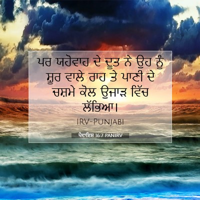 Picture 07 - ਪੈਦਾਇਸ਼ 16:7 PANIRV - ਪਰ ਯਹੋਵਾਹ ਦੇ ਦੂਤ ਨੇ - Bible Verse Picture