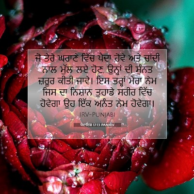 Picture 07 - ਪੈਦਾਇਸ਼ 17:13 PANIRV - ਜੋ ਤੇਰੇ ਘਰਾਣੇ ਵਿੱਚ - Bible Verse Picture