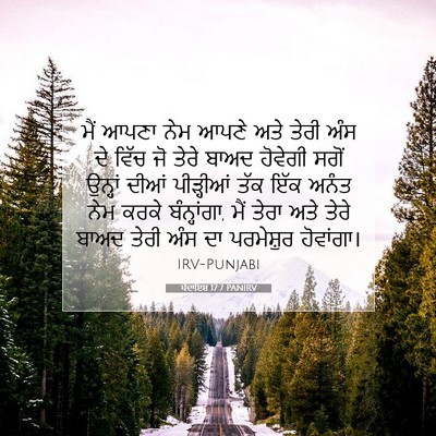 Picture 07 - ਪੈਦਾਇਸ਼ 17:7 PANIRV - ਮੈਂ ਆਪਣਾ ਨੇਮ ਆਪਣੇ - Bible Verse Picture