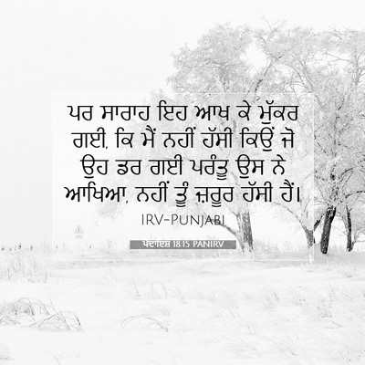 Picture 07 - ਪੈਦਾਇਸ਼ 18:15 PANIRV - ਪਰ ਸਾਰਾਹ ਇਹ ਆਖ ਕੇ - Bible Verse Picture