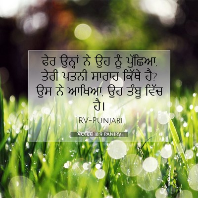 Picture 07 - ਪੈਦਾਇਸ਼ 18:9 PANIRV - ਫੇਰ ਉਨ੍ਹਾਂ ਨੇ ਉਹ - Bible Verse Picture