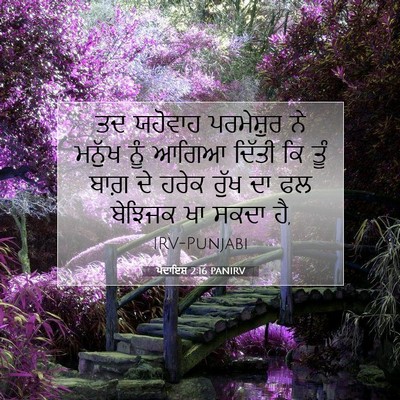Picture 07 - ਪੈਦਾਇਸ਼ 2:16 PANIRV - ਤਦ ਯਹੋਵਾਹ - Bible Verse Picture