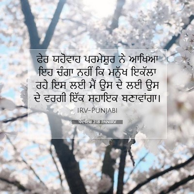 Picture 07 - ਪੈਦਾਇਸ਼ 2:18 PANIRV - ਫੇਰ ਯਹੋਵਾਹ - Bible Verse Picture