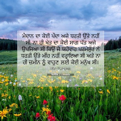 Picture 07 - ਪੈਦਾਇਸ਼ 2:5 PANIRV - ਮੈਦਾਨ ਦਾ ਕੋਈ ਪੌਦਾ - Bible Verse Picture