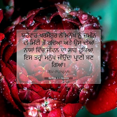 Picture 07 - ਪੈਦਾਇਸ਼ 2:7 PANIRV - ਯਹੋਵਾਹ ਪਰਮੇਸ਼ੁਰ - Bible Verse Picture