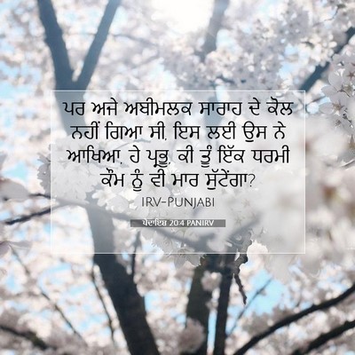 Picture 07 - ਪੈਦਾਇਸ਼ 20:4 PANIRV - ਪਰ ਅਜੇ ਅਬੀਮਲਕ - Bible Verse Picture
