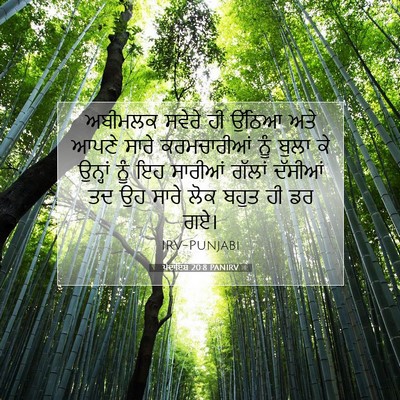 Picture 07 - ਪੈਦਾਇਸ਼ 20:8 PANIRV - ਅਬੀਮਲਕ ਸਵੇਰੇ ਹੀ - Bible Verse Picture