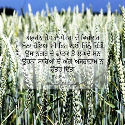 Picture 07 - ਪੈਦਾਇਸ਼ 23:10 PANIRV - ਅਫ਼ਰੋਨ ਹੇਤ ਦੇ - Bible Verse Picture