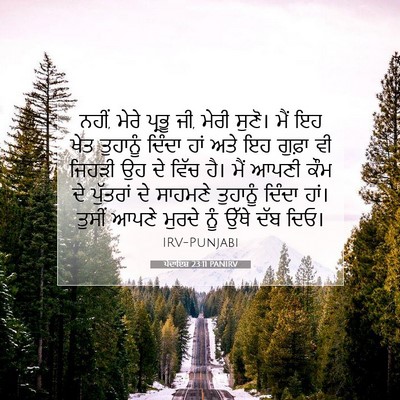 Picture 07 - ਪੈਦਾਇਸ਼ 23:11 PANIRV - ਨਹੀਂ, ਮੇਰੇ ਪ੍ਰਭੂ - Bible Verse Picture