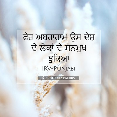 Picture 07 - ਪੈਦਾਇਸ਼ 23:12 PANIRV - ਫੇਰ ਅਬਰਾਹਾਮ ਉਸ - Bible Verse Picture