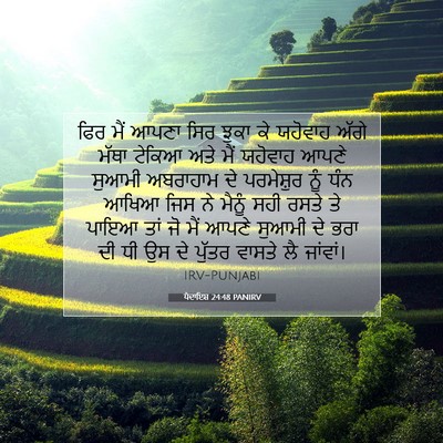 Picture 07 - ਪੈਦਾਇਸ਼ 24:48 PANIRV - ਫਿਰ ਮੈਂ ਆਪਣਾ ਸਿਰ - Bible Verse Picture