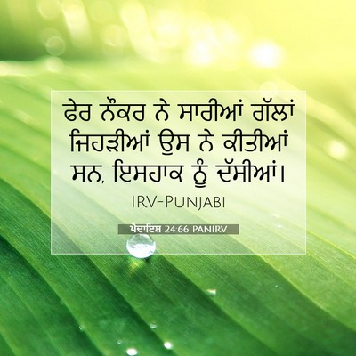 Picture 07 - ਪੈਦਾਇਸ਼ 24:66 PANIRV - ਫੇਰ ਨੌਕਰ ਨੇ ਸਾਰੀਆਂ - Bible Verse Picture