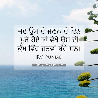 Picture 07 - ਪੈਦਾਇਸ਼ 25:24 PANIRV - ਜਦ ਉਸ ਦੇ ਜਣਨ ਦੇ ਦਿਨ - Bible Verse Picture