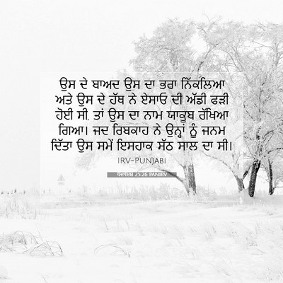 Picture 07 - ਪੈਦਾਇਸ਼ 25:26 PANIRV - ਉਸ ਦੇ ਬਾਅਦ ਉਸ ਦਾ - Bible Verse Picture