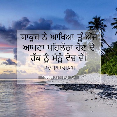 Picture 07 - ਪੈਦਾਇਸ਼ 25:31 PANIRV - ਯਾਕੂਬ ਨੇ ਆਖਿਆ, ਤੂੰ - Bible Verse Picture